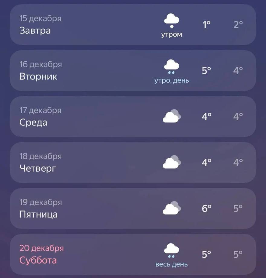 На предстоящей неделе в городе ожидается заметное потепление: к выходным температура поднимется до +5…+6°