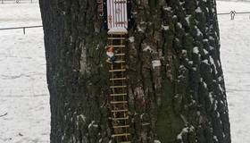 Домик гнома заметили в Петербурге