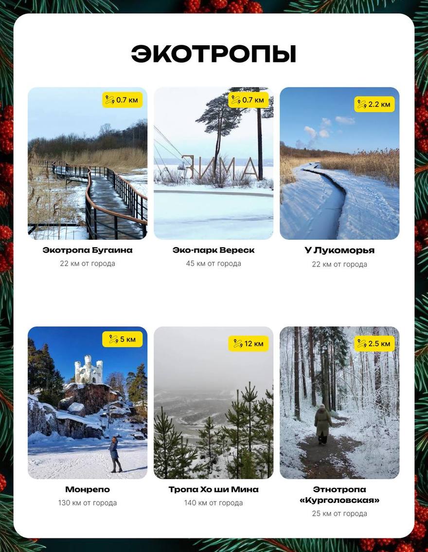 42 места новогоднего Петербурга