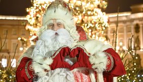 Ель на Дворцовой торжественно зажгли