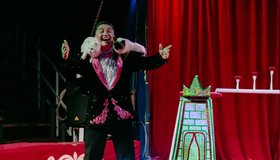 Новогодняя елка в цирке 