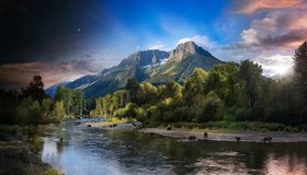 Выставка Стивена Уилкса «День и ночь» 