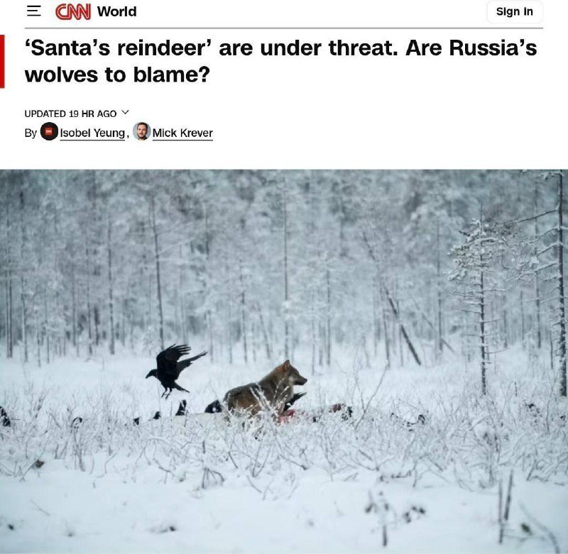В Финляндии сообщили, что российских волков обвиняют в убийстве оленей Санта-Клауса.  