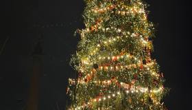 Новый год на Дворцовой площади 