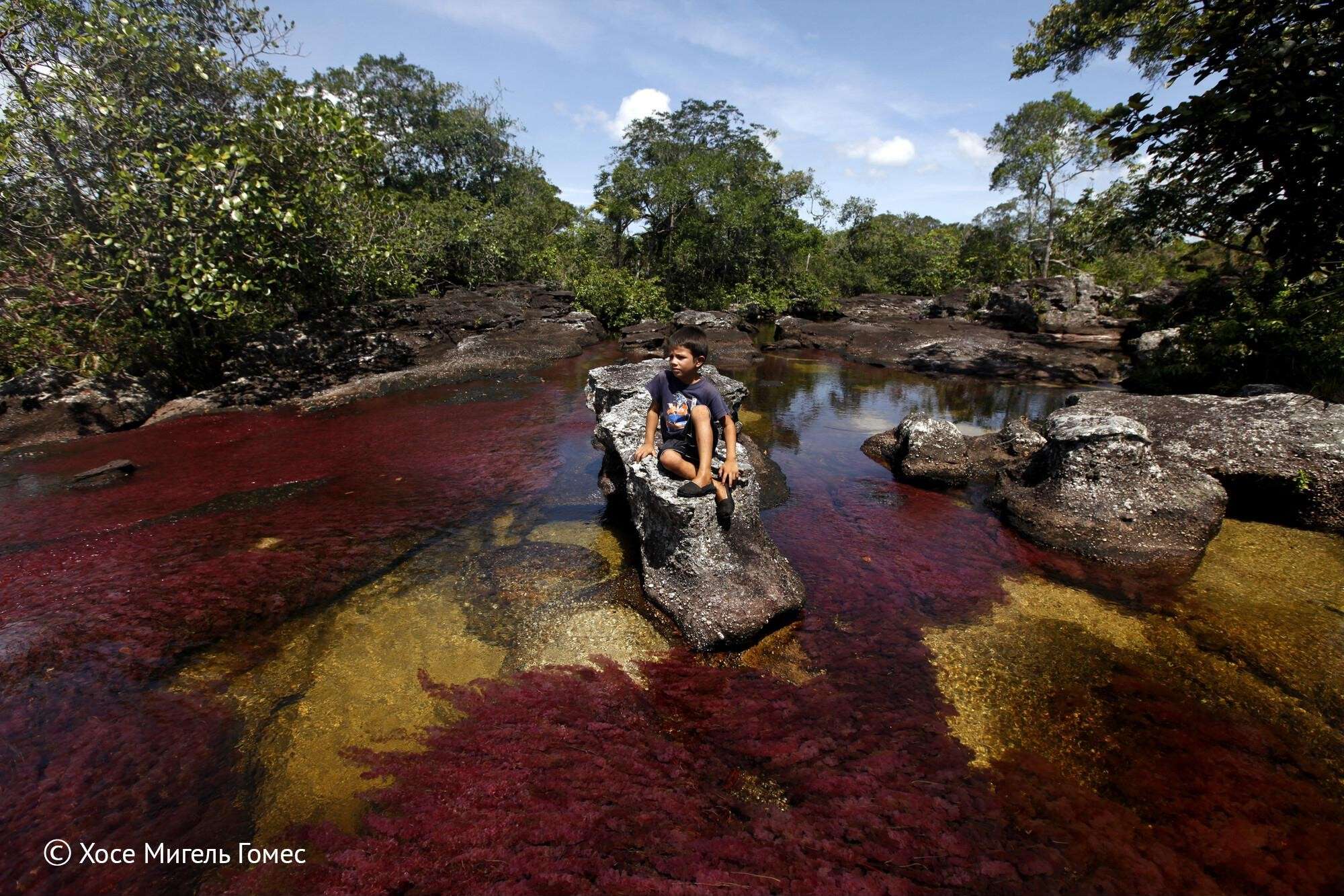 Выставка «Краски Колумбии в лицах и пейзажах» 