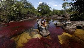 Выставка «Краски Колумбии в лицах и пейзажах» 