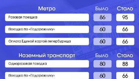 В Петербурге хотят повысить стоимость проезда: если инициативу утвердят, обновлённые тарифы могут вступить в силу с 1 января 2026 года.