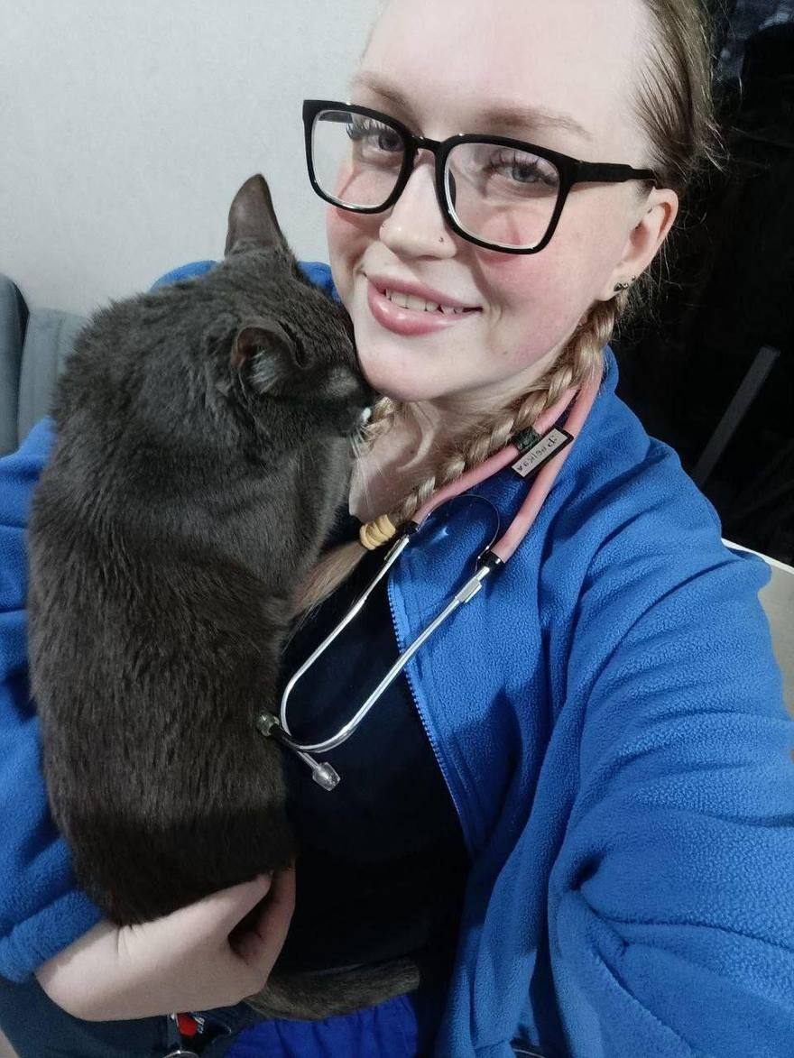 Милота дня: сотрудники скорой помощи в Ленобласти поделились снимакми котиков, которые встречают их на вызовах.