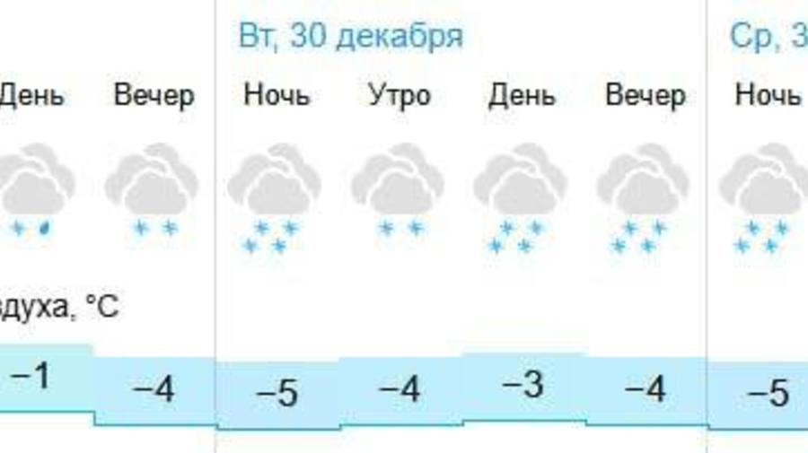 В последние дни 2025 года в Питере ожидаются снегопады, — синоптики.