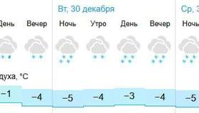 В последние дни 2025 года в Питере ожидаются снегопады, — синоптики.