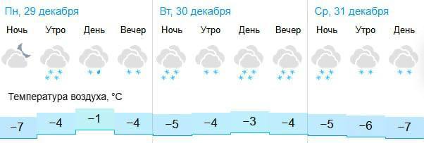 В последние дни 2025 года в Питере ожидаются снегопады, — синоптики.