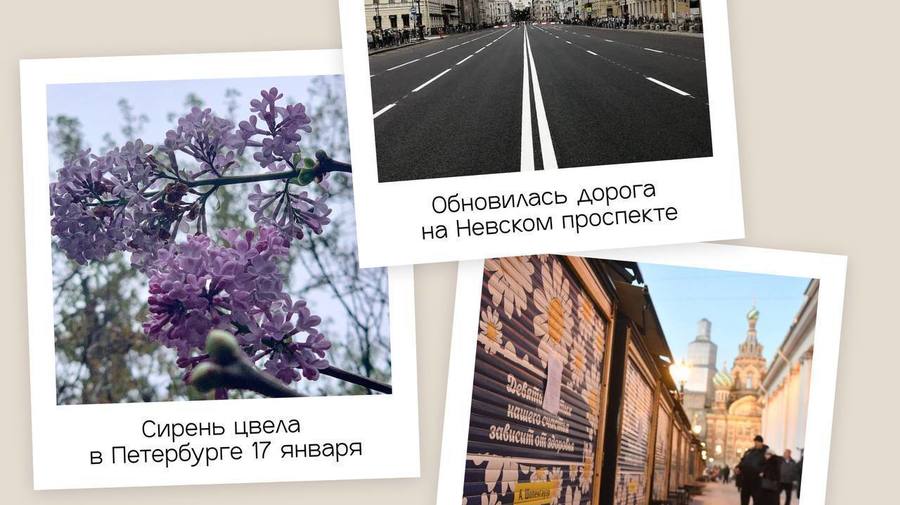 Важные события прошлого года в Петербурге