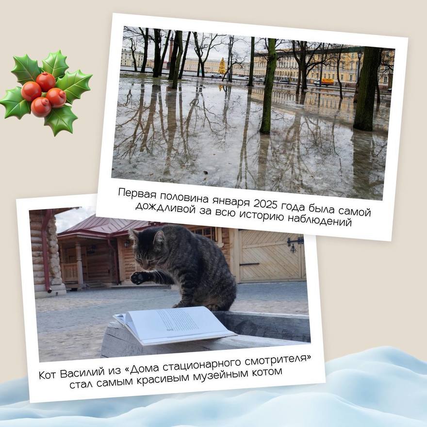 Важные события прошлого года в Петербурге