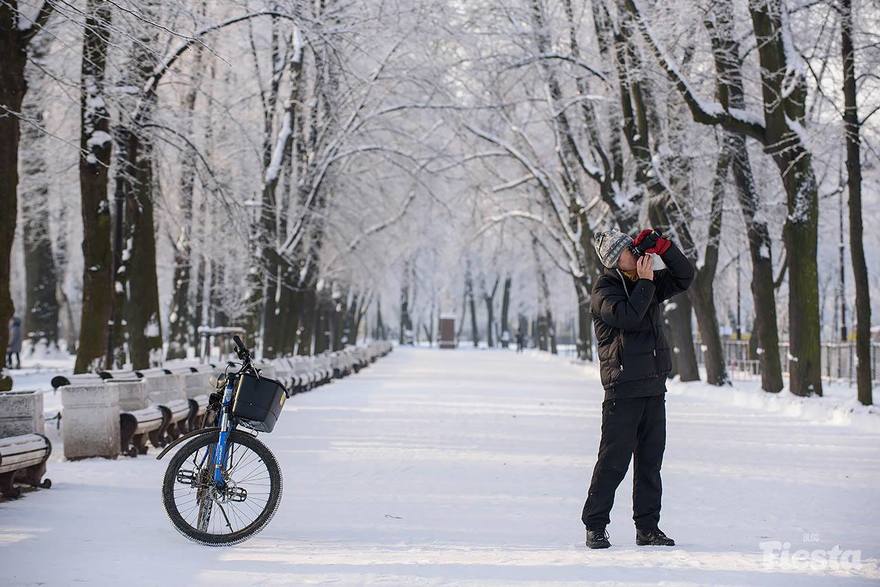 Мощные морозы до -15 градусов обрушатся на Петербург в ближайшие дни, — синоптики.