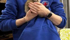 Ветеринары в Ленобласти показали первых пушистых пациентов 2026 года.