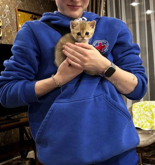 Ветеринары в Ленобласти показали первых пушистых пациентов 2026 года.