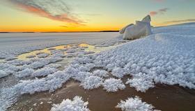Ледяные «цветы» расцвели недалеко от Выборга.