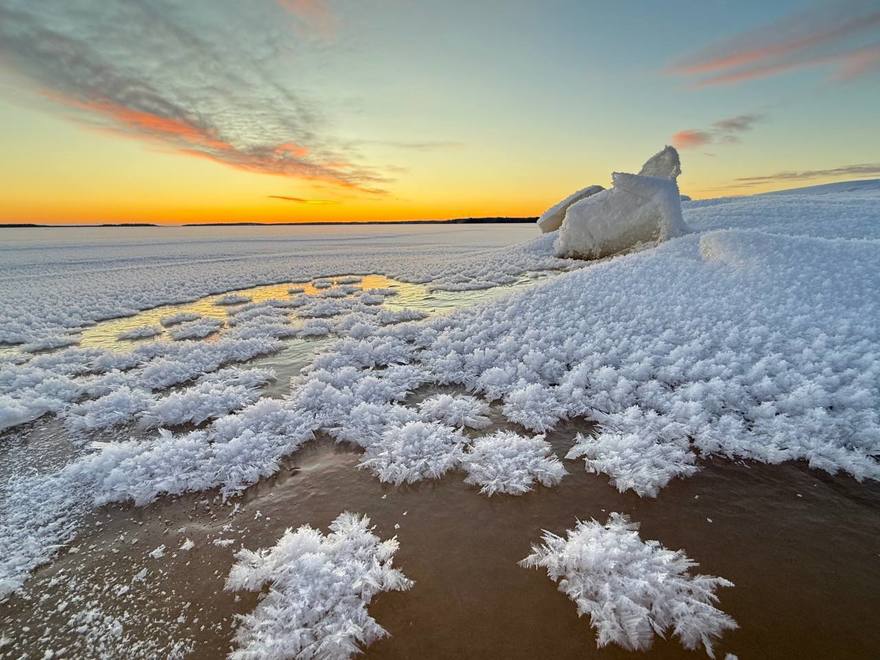 Ледяные «цветы» расцвели недалеко от Выборга.