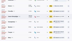 Ряд авиарейсов из Питера не могут попасть в Москву — там задержаны или отменены около 200 из‑за сильного снегопада.