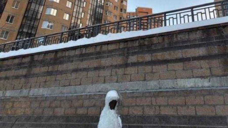 Самую устрашающую сосульку Петербурга заметили на Парнасе.