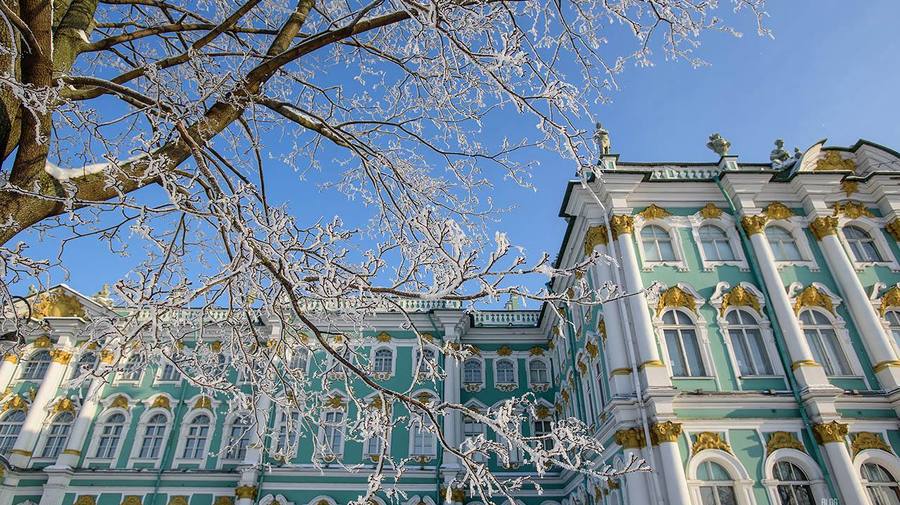 17 тысяч чашек чая выпили гости Эрмитажа, пока стояли в очереди.