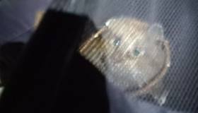 Волонтёры спасли кота, который 18 дней просидел в вентиляции дома на улице Чайковского.