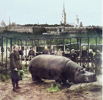 Показ документального фильма про Ленинградский зоопарк