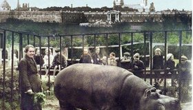 Показ документального фильма про Ленинградский зоопарк