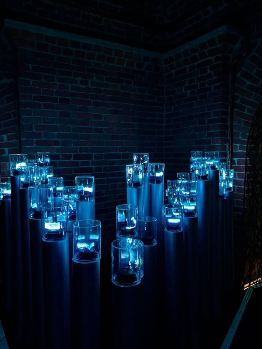 Бесплатная медиа-выставка открыта в «Цифергаузе»  