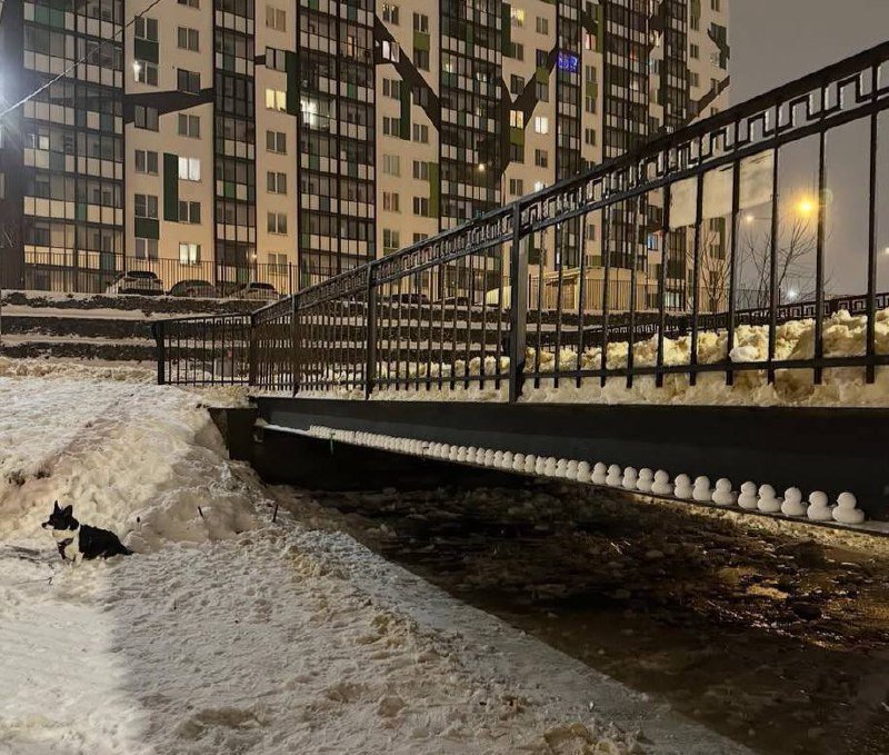 Армия снежных уточек захватила один из петербургских дворов.