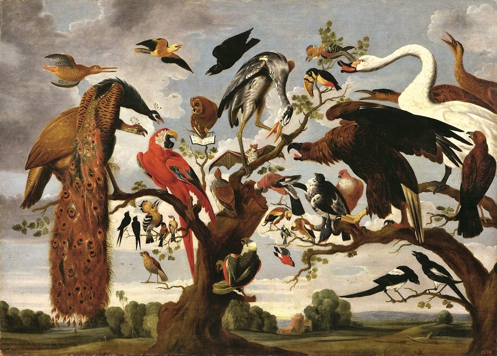 Выставка «Класс зверей и птиц, цветов и плодов. Академические классы XVIII века»