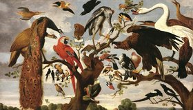 Выставка «Класс зверей и птиц, цветов и плодов. Академические классы XVIII века»