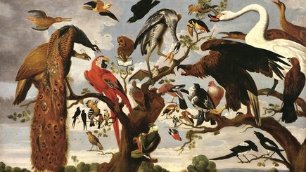 Выставка «Класс зверей и птиц, цветов и плодов. Академические классы XVIII века» — фото 1