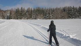 В Петербурге в 2026 году обустроили свыше 50 лыжных трасс — по одной в каждом районе
