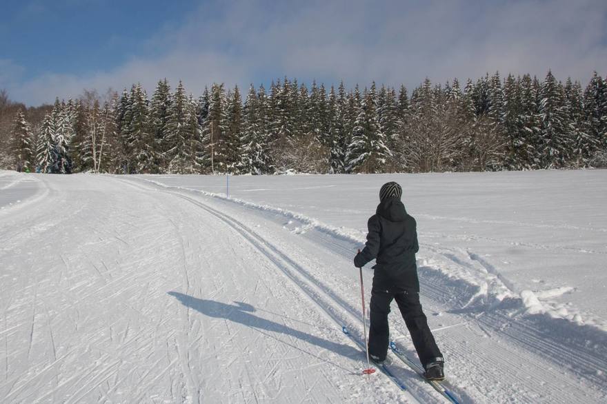 В Петербурге в 2026 году обустроили свыше 50 лыжных трасс — по одной в каждом районе