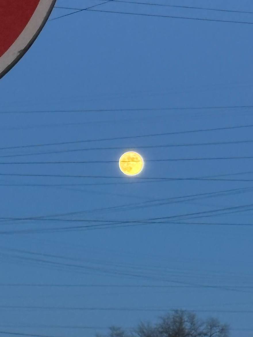 Снежная Луна сегодня поднялась над Петербургом