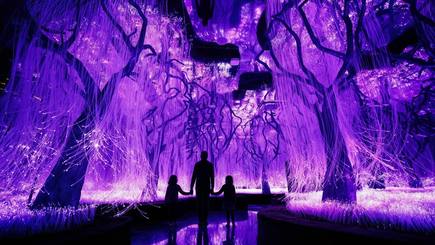 День святого Валентина в пространстве Futurione Emotions — фото 2