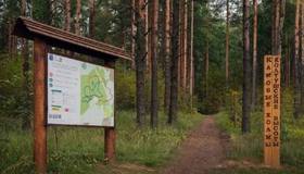 В Петербурге откроют сразу два экомаршрута — «Жемчужную тропу» и «Таёжный мир»