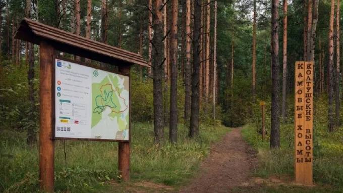 В Петербурге откроют сразу два экомаршрута — «Жемчужную тропу» и «Таёжный мир»