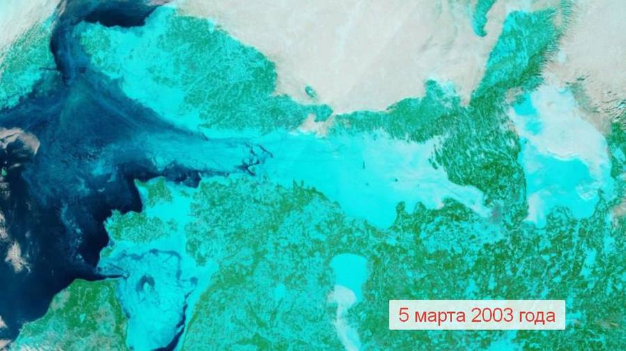 В Петербург на выходных придут настоящие морозы — температура опустится до −20 °C, а в Ленобласти местами ожидается до −25 °C.