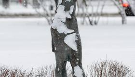 К Петербургу приближается южный циклон WALLY V, сообщают синоптики.  