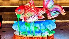 Фестиваль китайских фонарей превратил Заячий остров в небольшую китайскую вселенную — с драконами, пандами и Огненной Лошадью до четырёх метров высотой.