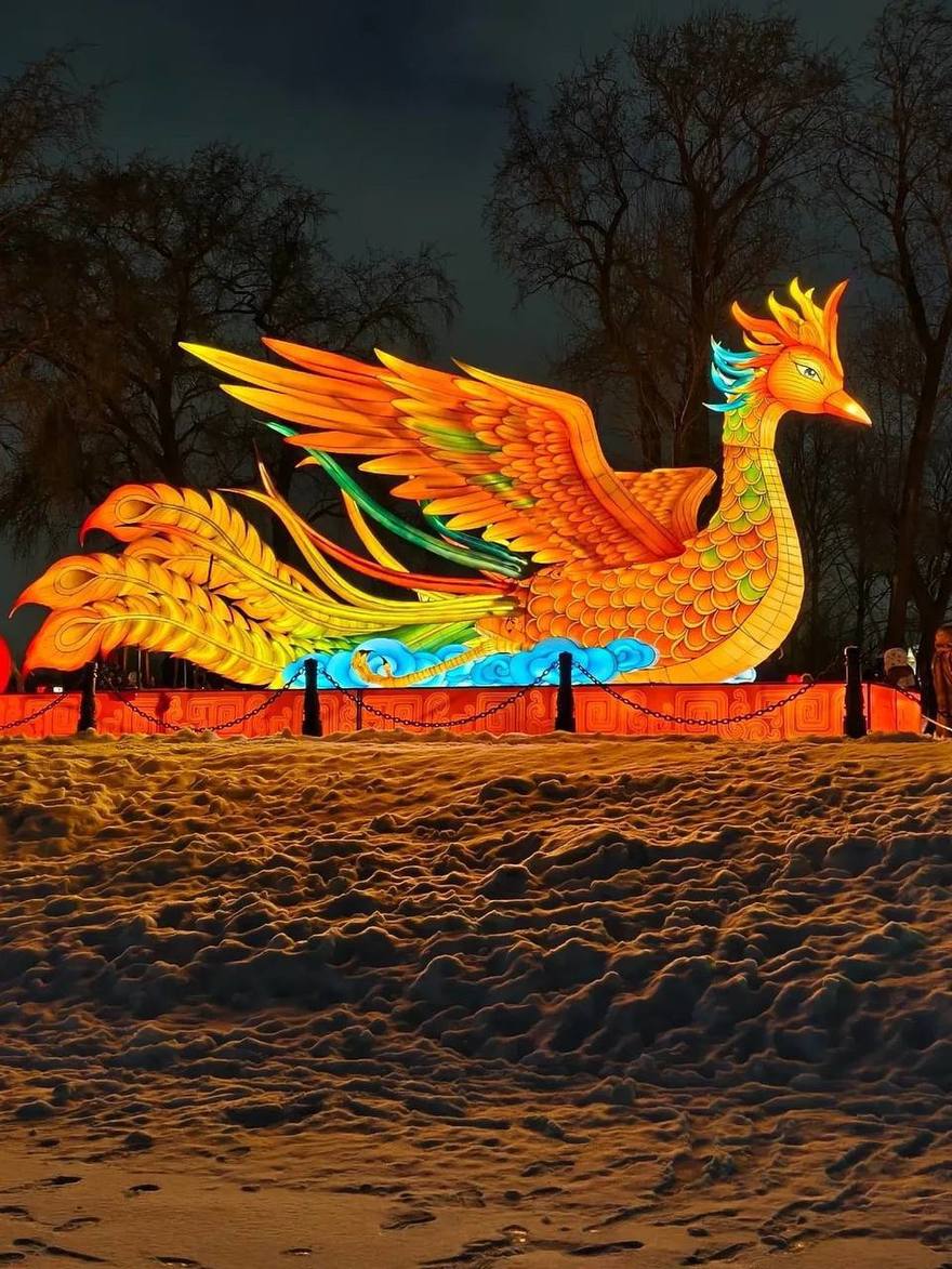 Фестиваль китайских фонарей превратил Заячий остров в небольшую китайскую вселенную — с драконами, пандами и Огненной Лошадью до четырёх метров высотой.