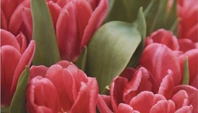 Планы на март: 30 самых ярких событий месяца