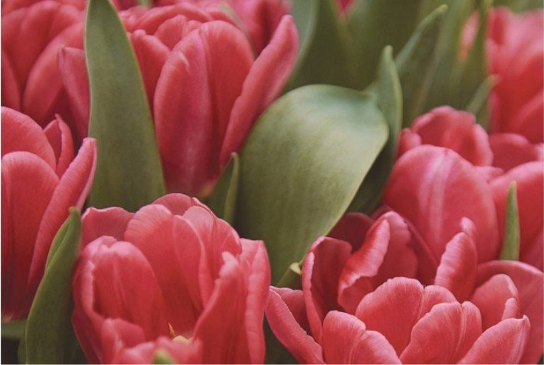 Планы на март: 30 самых ярких событий месяца