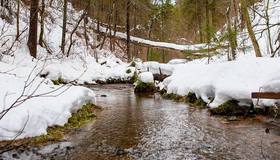 До +4 градусов потеплеет сегодня в Петербурге, — синоптики.