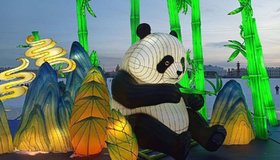 Фестиваль китайских фонариков в Петербурге продлен до 2 марта