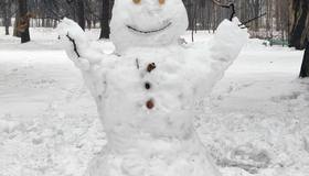 Петербуржцы делятся своими талантами в лепке снеговиков в Удельном парке.