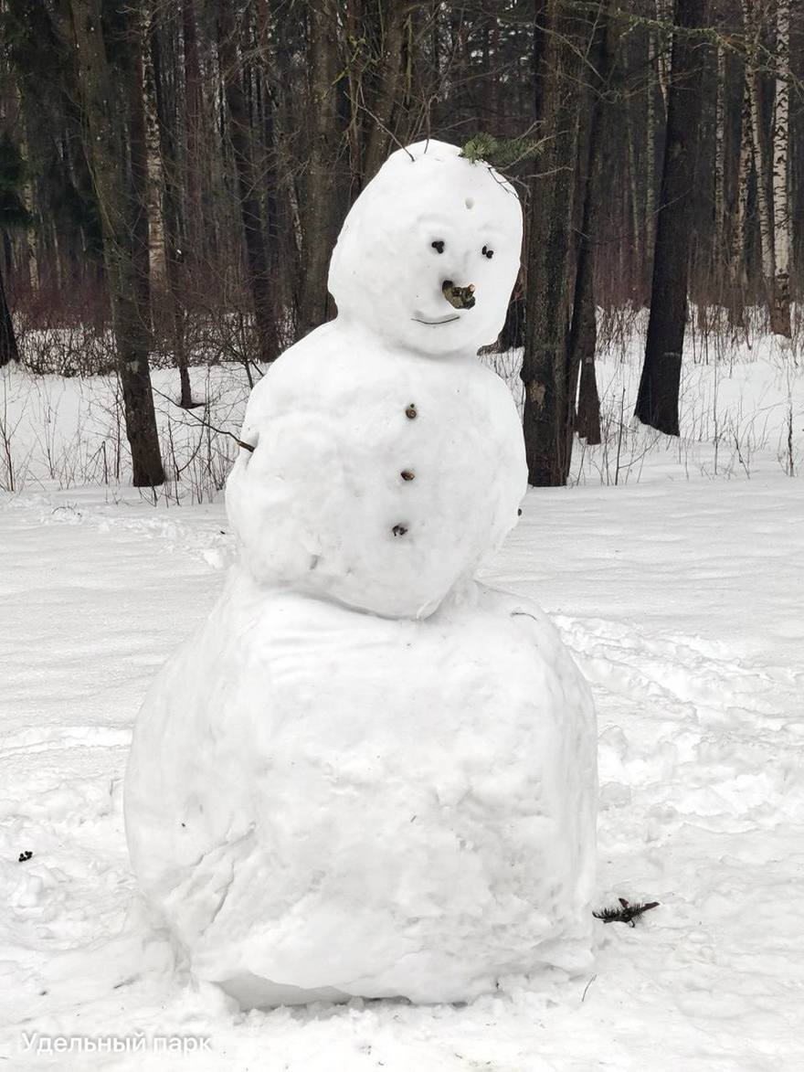 Петербуржцы делятся своими талантами в лепке снеговиков в Удельном парке.