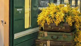 На Финляндском вокзале появилась праздничная цветочная фотозона  